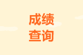 2020年西藏山南市中级成绩查询入口开通了吗？