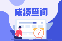 税务师成绩查询