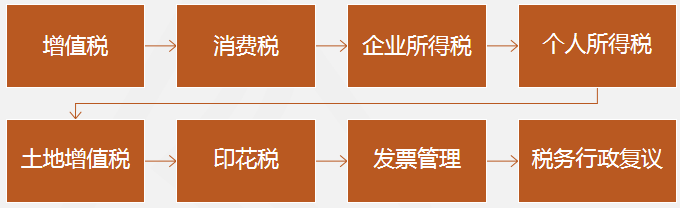 税务师涉税服务实务重点