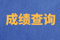 天津2020年资产评估师考试成绩查询时间公布了吗？