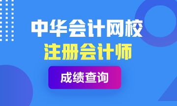 淄博2020年注会成绩查询时间