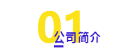 ACCA会员直聘丨斯凯奇高级财务主管