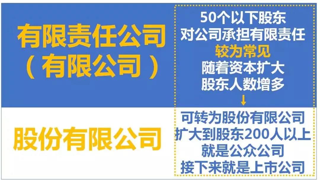 最全总结！公司、个体户、分公司、子公司、有限公司有啥区别？