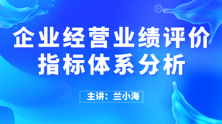 企业经营业绩评价指标体系分析 (1)