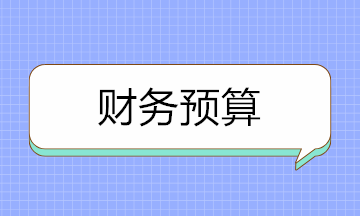 财务预算的编制原则及编制步骤