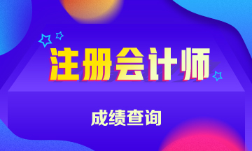 广州2020年CPA成绩查询时间