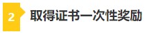 考下CPA 带你薅四大会计师事务所“羊毛”！