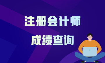 2020年湖南注会成绩查询时间