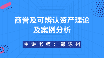 商誉及可辨认资产理论及案例分析