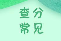 安徽2020会计中级成绩查询入口官网开通了吗？