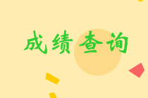 中级成绩查询2020时间已经公布 快去查分！