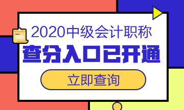 中级考试成绩查询2020年