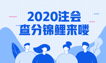 2020年注会成绩查询锦鲤报道！总有一款适合你~