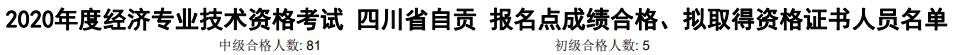 自贡2020年初中级经济师考试合格人数