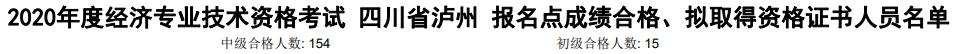 泸州2020年初中级经济师考试合格人数