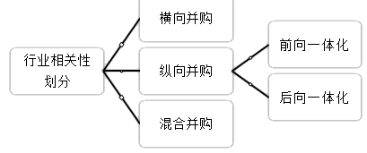 2021高会《高级会计实务》考试知识点：企业并购类型（二）