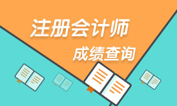 四川成都2020CPA成绩复核结果怎么查询？