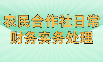 农民专业合作社日常财务实务有哪些处理？