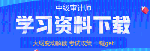 中级审计师学习资料