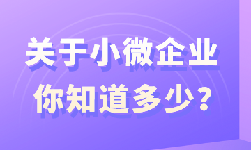 关于小微企业，你知道多少？