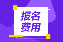 2022年北京初级会计考试报名费用确定了吗？