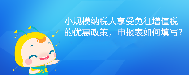 小规模纳税人享受免征增值税的优惠政策，申报表如何填写？