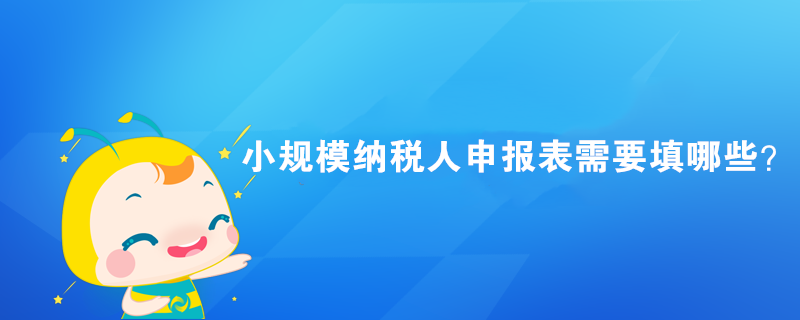 小规模纳税人申报表需要填哪些？