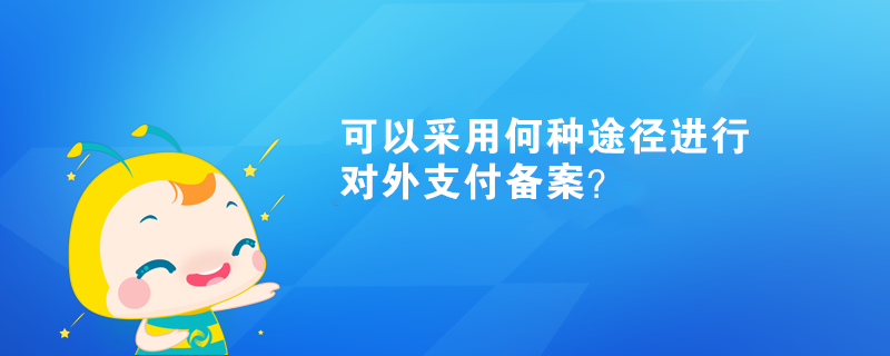 可以采用何种途径进行对外支付备案？