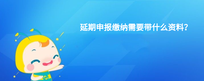 延期申报缴纳需要带什么资料？