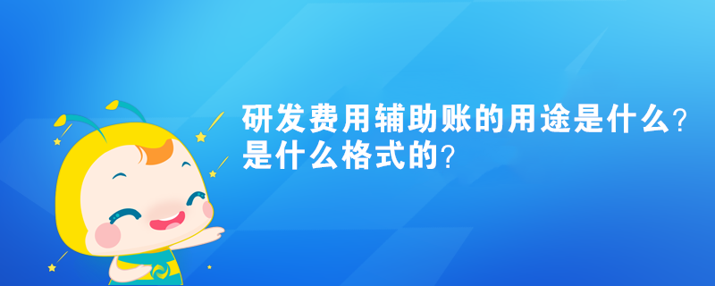 研发费用辅助账的用途是什么？是什么格式的？