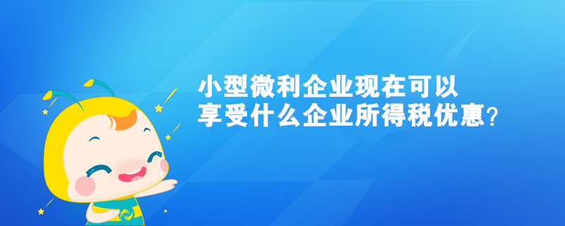 小型微利企业现在可以享受什么企业所得税优惠？