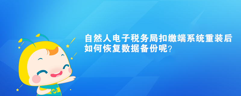 自然人电子税务局扣缴端系统重装后如何恢复数据备份呢？