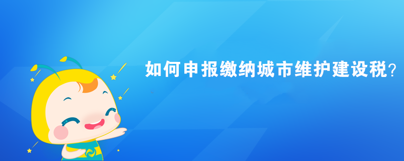 如何申报缴纳城市维护建设税？