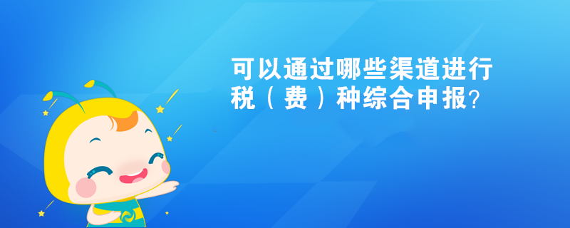 可以通过哪些渠道进行税（费）种综合申报？