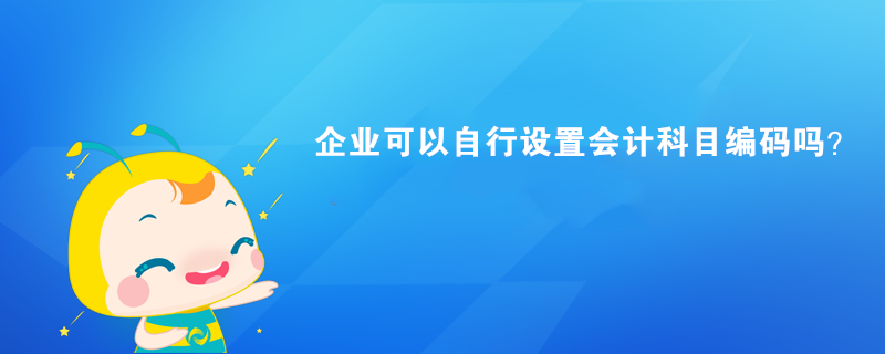 企业可以自行设置会计科目编码吗？