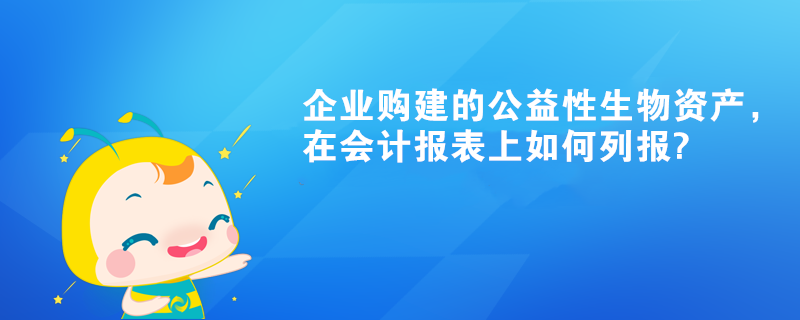 企业购建的公益性生物资产，在会计报表上如何列报?