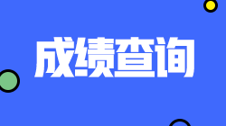 广西2021CPA考试成绩查询入口在哪里？