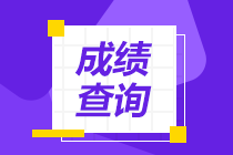 税务师成绩查询13