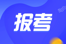 税务师报名