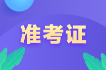 税务师准考证打印