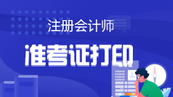 2022年注会全国统一考试准考证打印时间  速来预约>