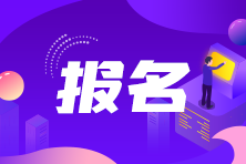 税务师考试报名系统-0