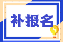 2022年税务师的考试补报名的时间和官网都是什么？