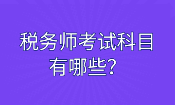 税务师考试科目