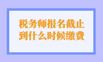 税务师报名截止 到什么时候缴费