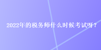 2022年的税务师什么时候考试呀？