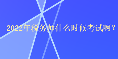 2022年税务师什么时候考试啊？