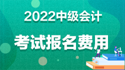 中级会计职称报名费多少钱上海？