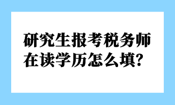 研究生报考税务师 在读学历怎么填？