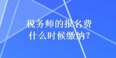 税务师的报名费什么时候缴纳？